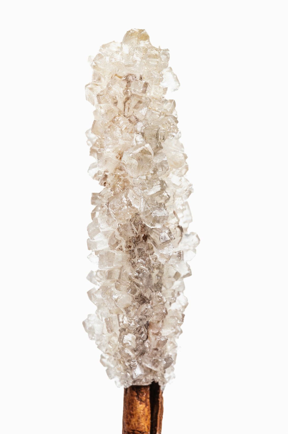 Beautiful Vanilla Sugar 32 oz Body Wash