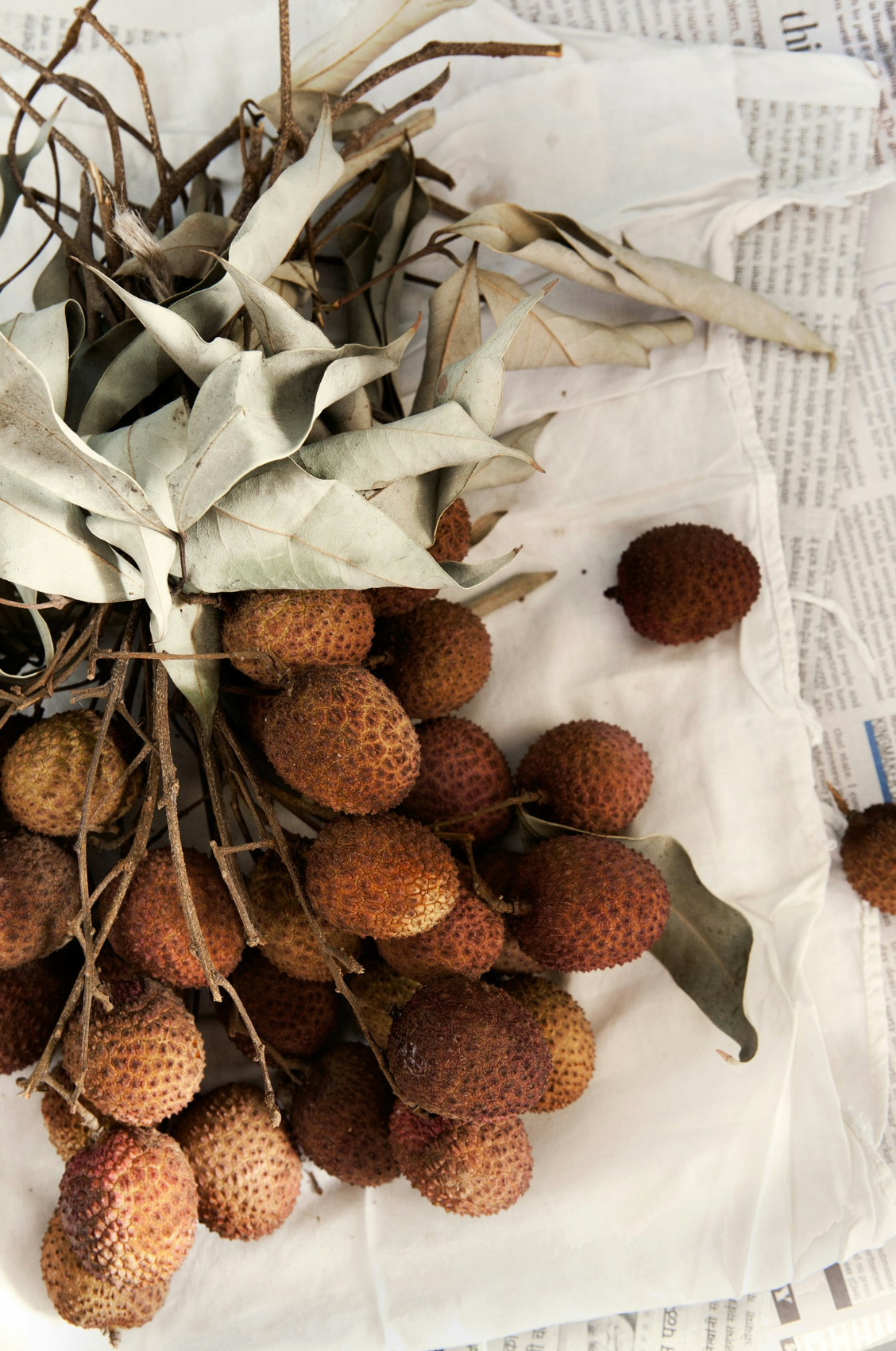 Beautiful Coconut & Lychee 9.35 oz Gel Scent Beads