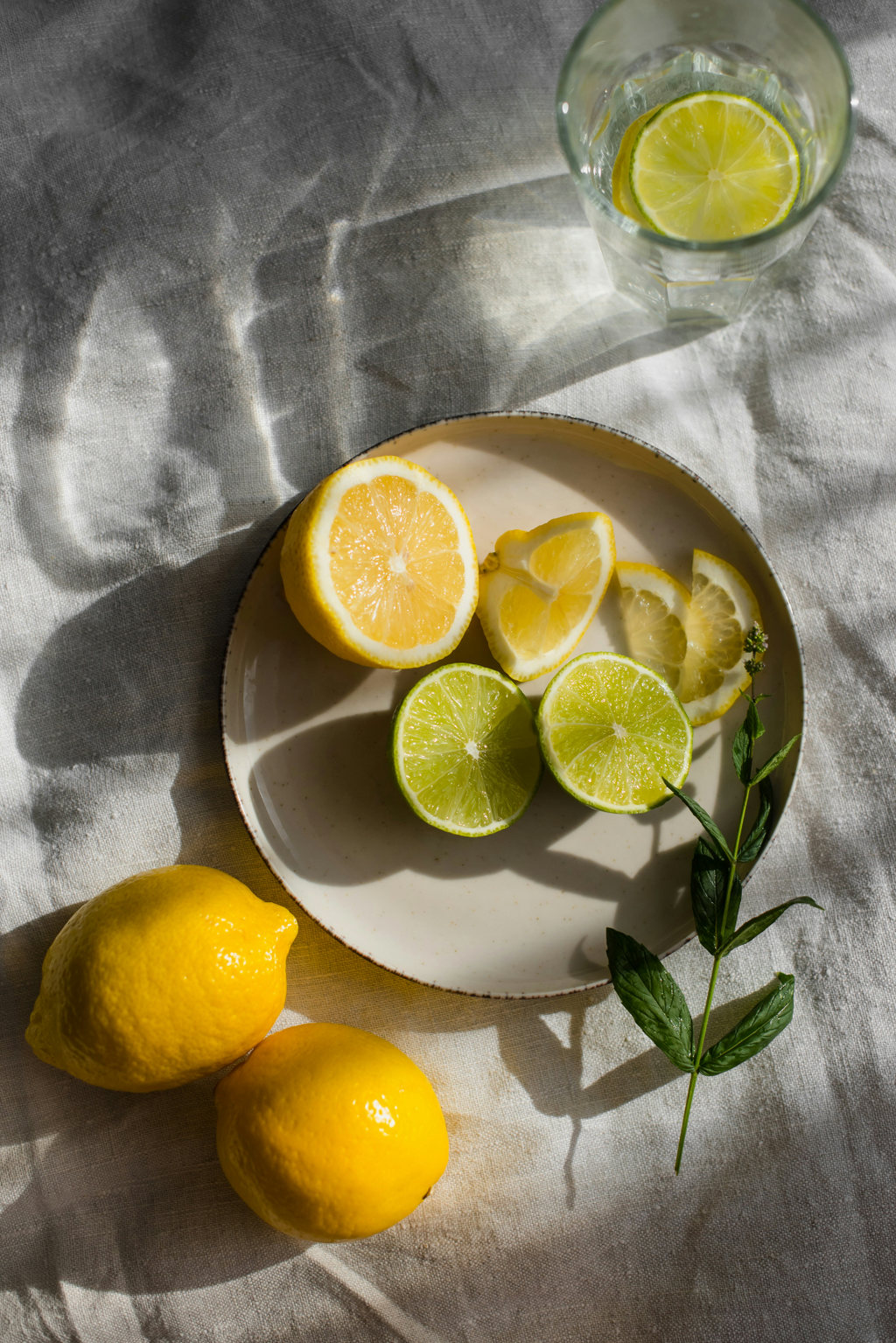Signature Limoncello 10 oz scented candle
