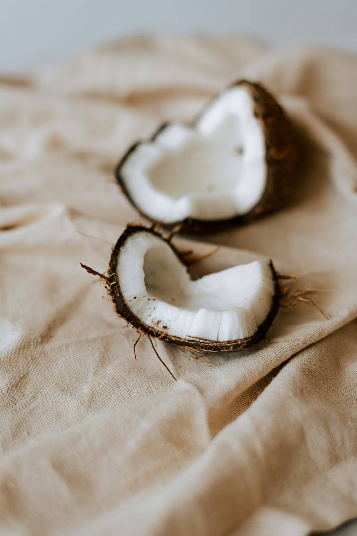 Signature Coconut Cream 12 oz scented candle
