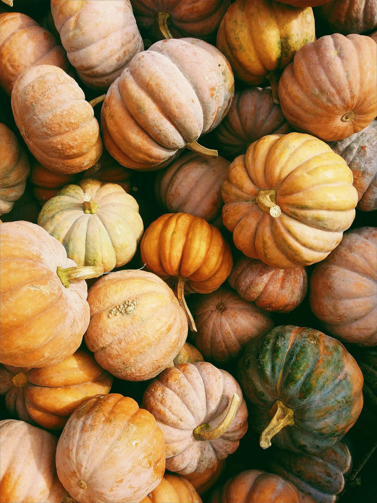 Signature Pumpkin Patch 12 oz scented candle
