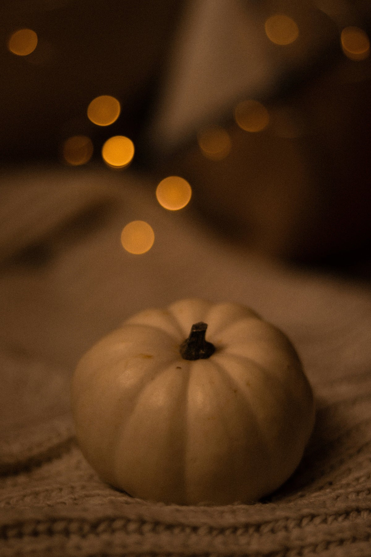 Signature Sand + Paws Pumpkin & Vanilla 12 oz scented candle